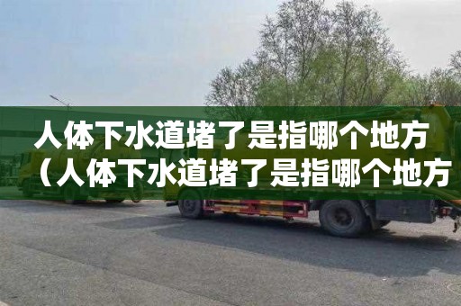 人体下水道堵了是指哪个地方（人体下水道堵了是指哪个地方的）