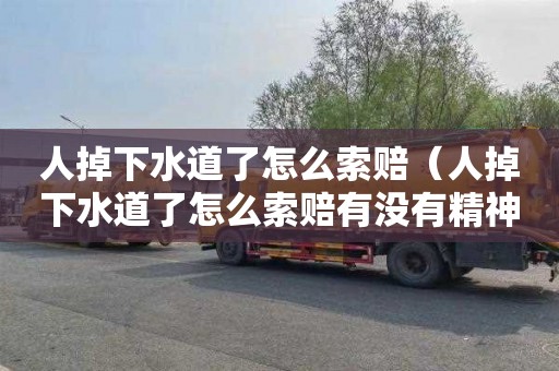 人掉下水道了怎么索赔（人掉下水道了怎么索赔有没有精神损失费赔）