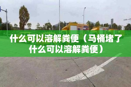 什么可以溶解粪便（马桶堵了什么可以溶解粪便）