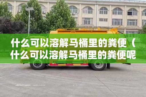 什么可以溶解马桶里的粪便（什么可以溶解马桶里的粪便呢）