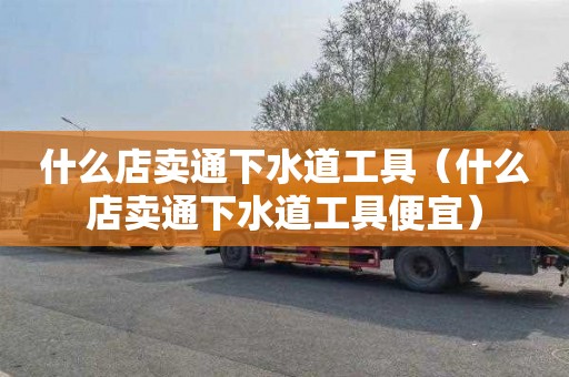 什么店卖通下水道工具（什么店卖通下水道工具便宜）