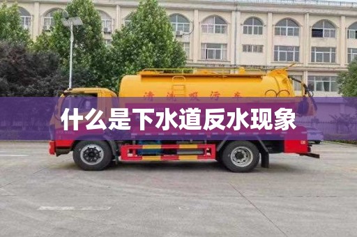 什么是下水道反水现象
