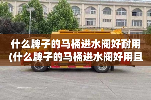 什么牌子的马桶进水阀好耐用(什么牌子的马桶进水阀好用且质量好)