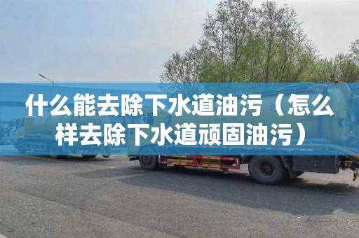 什么能去除下水道油污（怎么样去除下水道顽固油污）