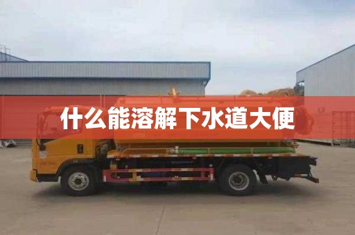 什么能溶解下水道大便