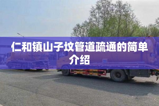 仁和镇山子坟管道疏通的简单介绍