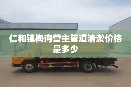 仁和镇梅沟营主管道清淤价格是多少