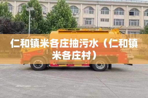 仁和镇米各庄抽污水（仁和镇米各庄村）