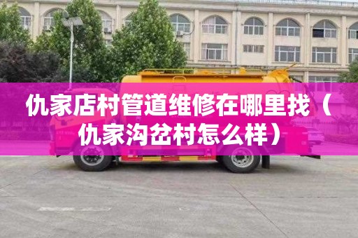 仇家店村管道维修在哪里找（仇家沟岔村怎么样）