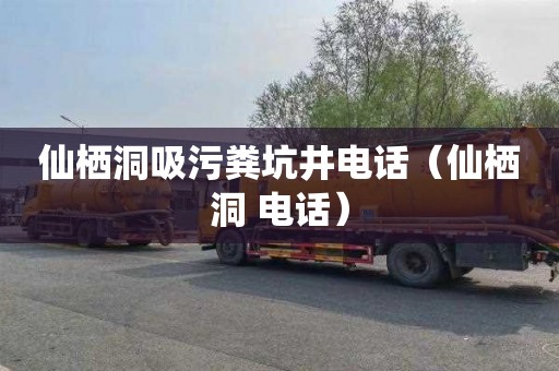 仙栖洞吸污粪坑井电话（仙栖洞 电话）