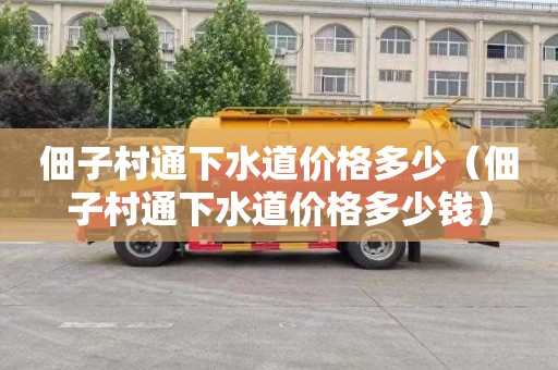佃子村通下水道价格多少（佃子村通下水道价格多少钱）