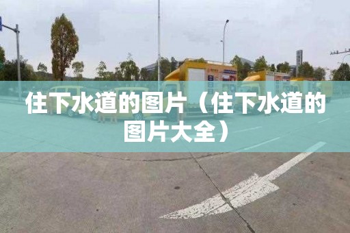 住下水道的图片（住下水道的图片大全）