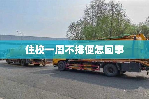 住校一周不排便怎回事
