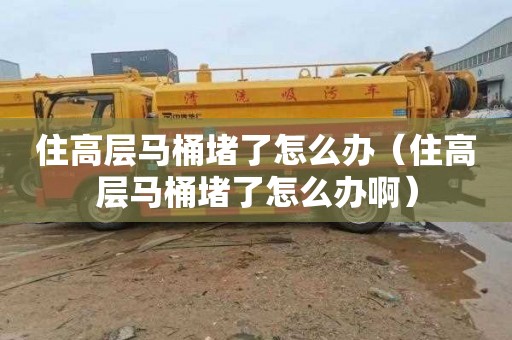 住高层马桶堵了怎么办（住高层马桶堵了怎么办啊）