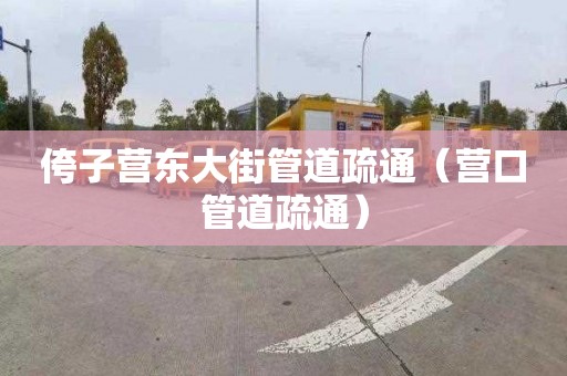 侉子营东大街管道疏通（营口管道疏通）