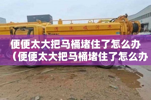 便便太大把马桶堵住了怎么办（便便太大把马桶堵住了怎么办图片）