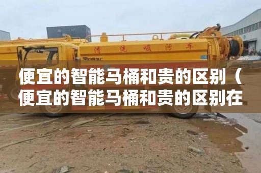 便宜的智能马桶和贵的区别（便宜的智能马桶和贵的区别在哪）