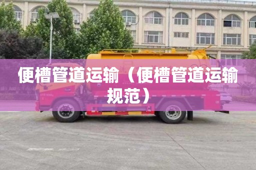 便槽管道运输（便槽管道运输规范）