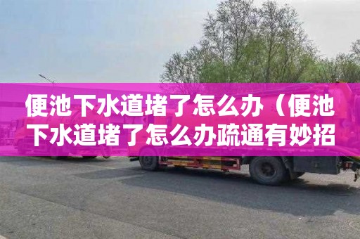 便池下水道堵了怎么办（便池下水道堵了怎么办疏通有妙招）