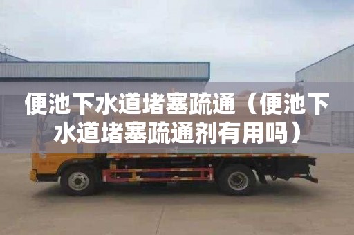 便池下水道堵塞疏通（便池下水道堵塞疏通剂有用吗）