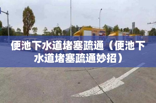 便池下水道堵塞疏通（便池下水道堵塞疏通妙招）