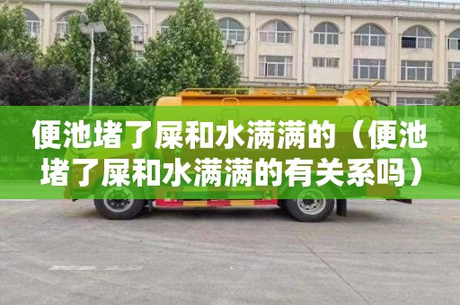 便池堵了屎和水满满的（便池堵了屎和水满满的有关系吗）