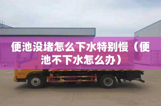 便池没堵怎么下水特别慢（便池不下水怎么办）