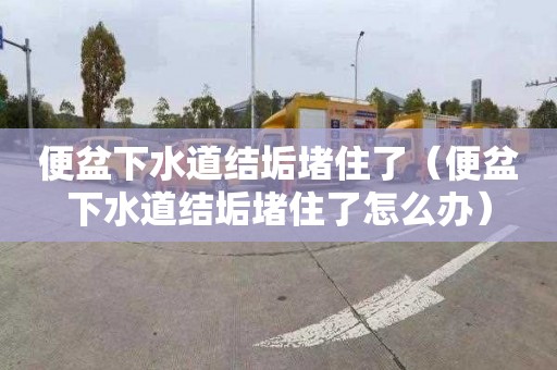 便盆下水道结垢堵住了（便盆下水道结垢堵住了怎么办）