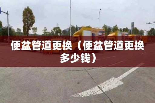 便盆管道更换（便盆管道更换多少钱）