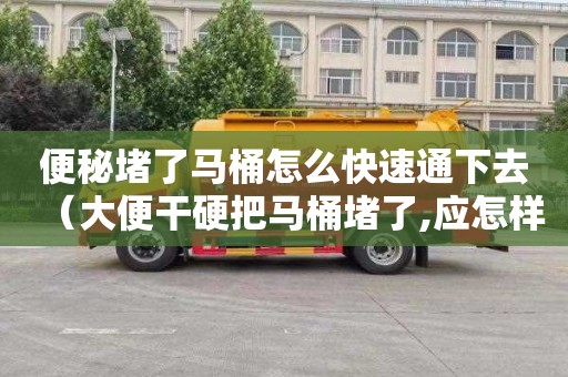 便秘堵了马桶怎么快速通下去（大便干硬把马桶堵了,应怎样疏通）