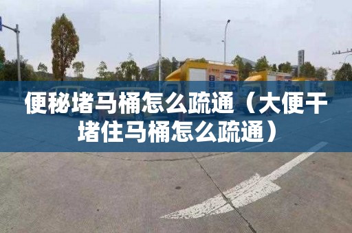 便秘堵马桶怎么疏通（大便干堵住马桶怎么疏通）