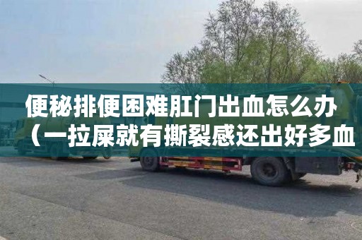 便秘排便困难肛门出血怎么办（一拉屎就有撕裂感还出好多血）