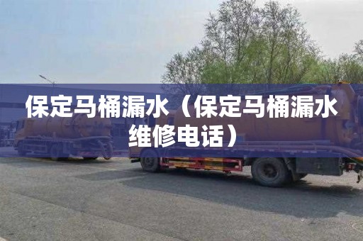 保定马桶漏水（保定马桶漏水维修电话）