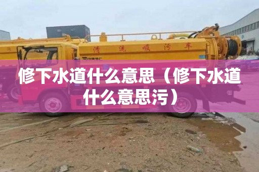 修下水道什么意思（修下水道什么意思污）