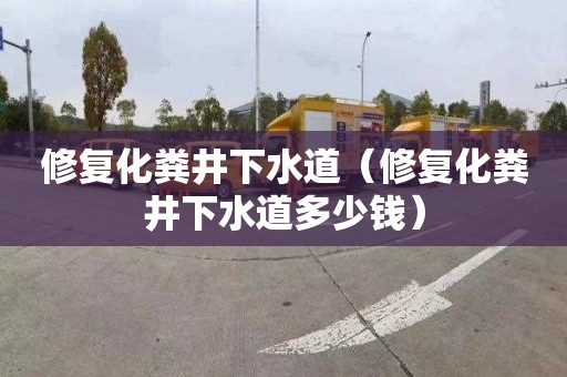 修复化粪井下水道（修复化粪井下水道多少钱）