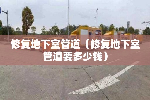 修复地下室管道（修复地下室管道要多少钱）