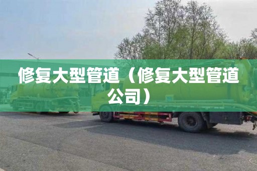 修复大型管道（修复大型管道公司）