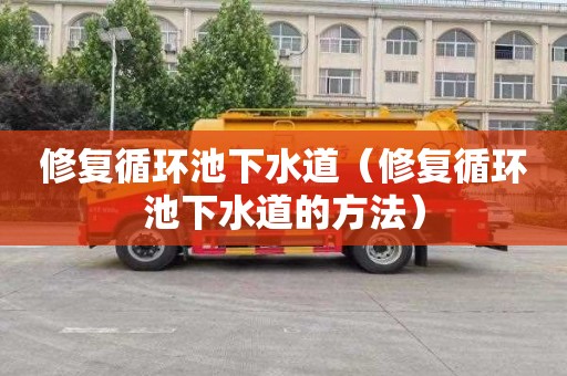 修复循环池下水道（修复循环池下水道的方法）