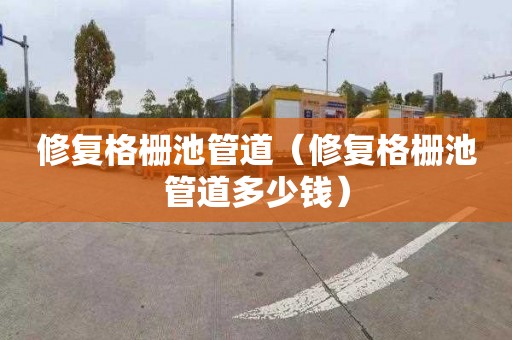修复格栅池管道（修复格栅池管道多少钱）