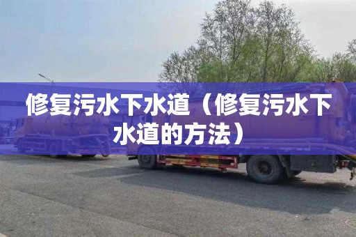 修复污水下水道（修复污水下水道的方法）