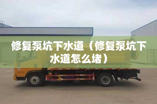 修复泵坑下水道（修复泵坑下水道怎么堵）