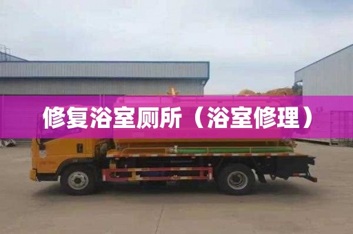 修复浴室厕所（浴室修理）