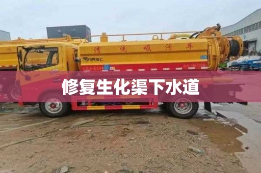修复生化渠下水道