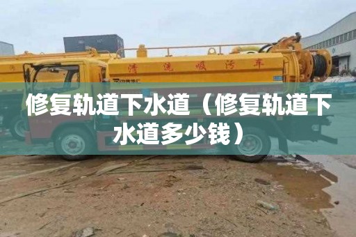 修复轨道下水道（修复轨道下水道多少钱）