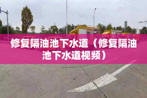 修复隔油池下水道（修复隔油池下水道视频）