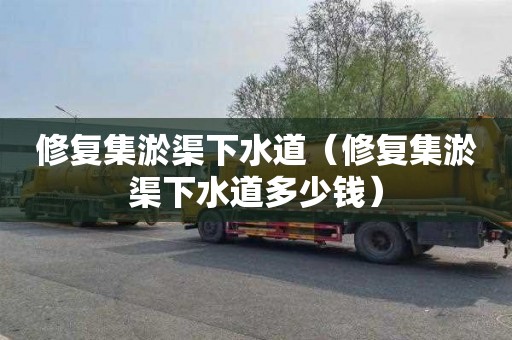 修复集淤渠下水道（修复集淤渠下水道多少钱）