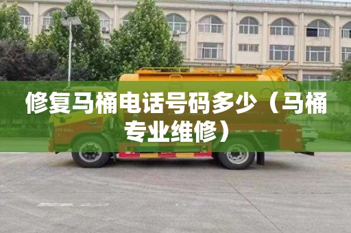 修复马桶电话号码多少（马桶专业维修）