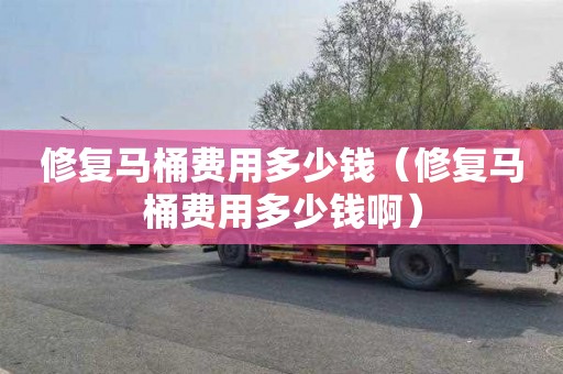 修复马桶费用多少钱（修复马桶费用多少钱啊）