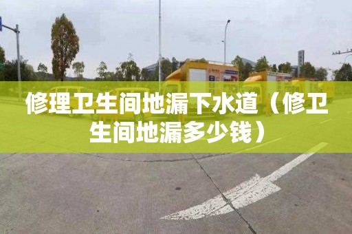 修理卫生间地漏下水道（修卫生间地漏多少钱）