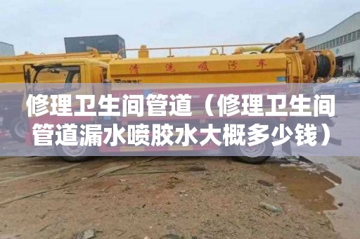 修理卫生间管道（修理卫生间管道漏水喷胶水大概多少钱）
